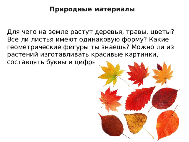 Природные материалы   Для чего на земле растут деревья, травы, цветы? Все ли листья имеют одинаковую форму? Какие геометрические фигуры ты знаешь? Можно ли из растений изготавливать красивые картинки, составлять буквы и цифры? 