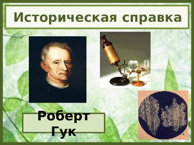 Историческая справка Роберт Гук 