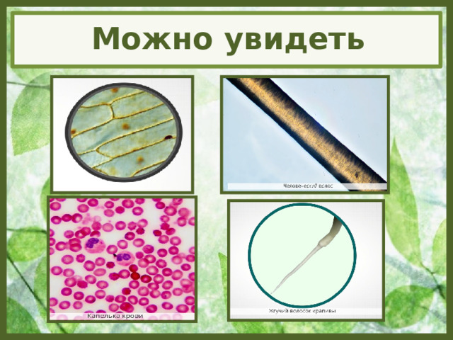 Можно увидеть 