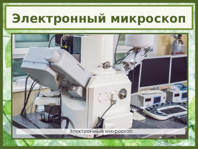Электронный микроскоп 