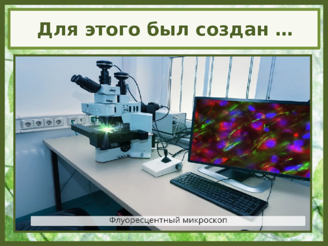 Для этого был создан … 