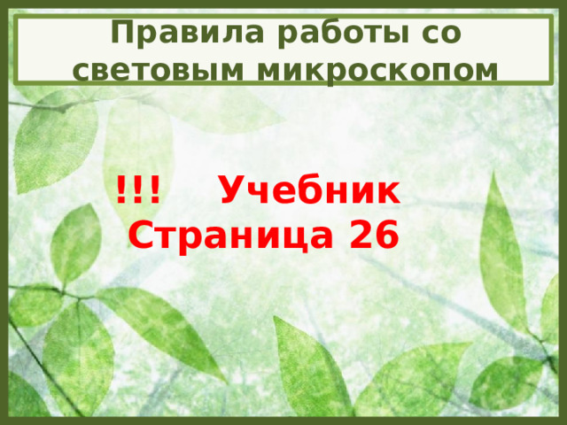Правила работы со световым микроскопом !!! Учебник Страница 26 