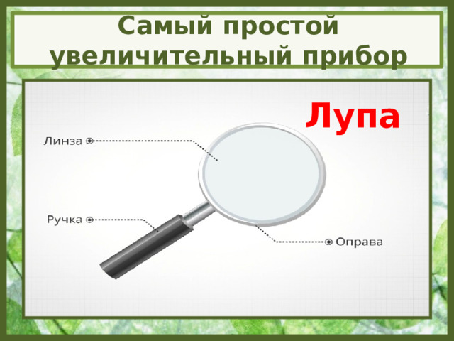 Самый простой увеличительный прибор Лупа 