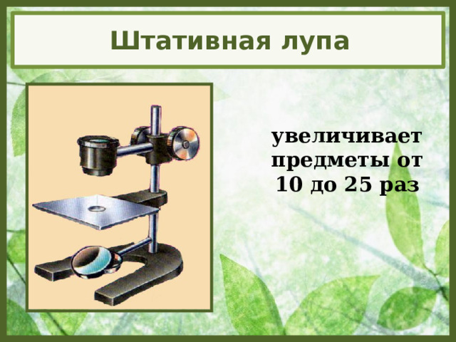 Штативная лупа увеличивает предметы от 10 до 25 раз 