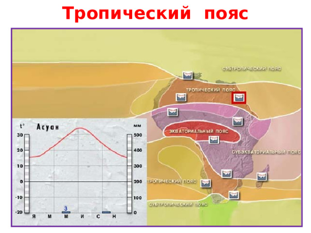 Тропический пояс 