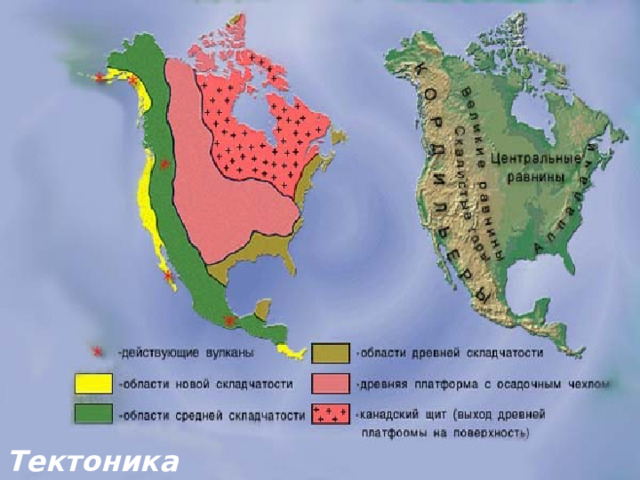 Тектоника 