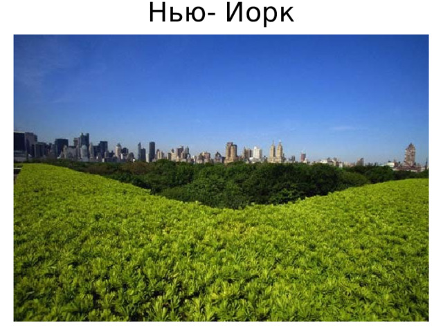 Нью- Йорк 