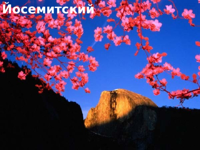 Йосемитский 