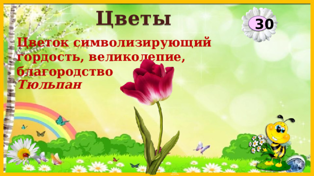 Цветы 30 Цветок символизирующий гордость, великолепие, благородство Тюльпан  