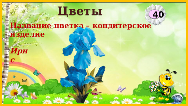 Цветы 40 Название цветка – кондитерское изделие Ирис  