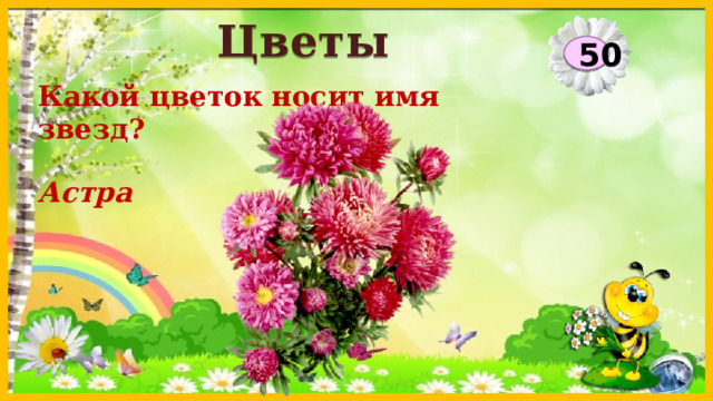 Цветы 50 Какой цветок носит имя звезд? Астра  