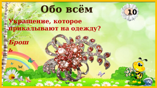Обо всём 10 Украшение, которое прикалывают на одежду? Брошь  