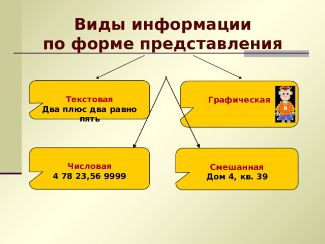 Виды информации по форме представления  Текстовая Два плюс два равно пять   Графическая  Числовая 4 78 23,56 9999   Смешанная Дом 4, кв. 39  