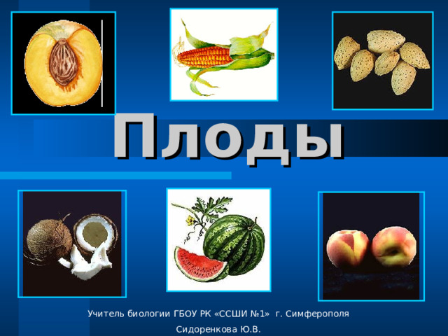Плоды Учитель биологии ГБОУ РК «ССШИ №1» г. Симферополя Сидоренкова Ю.В. 