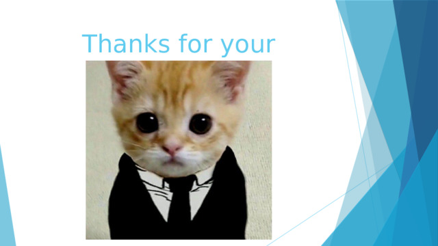 Thanks for your attention 