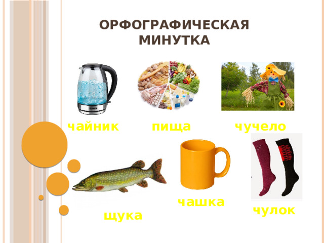 ОРФОГРАФИЧЕСКАЯ МИНУТКА пища чайник чучело чашка чулок щука 