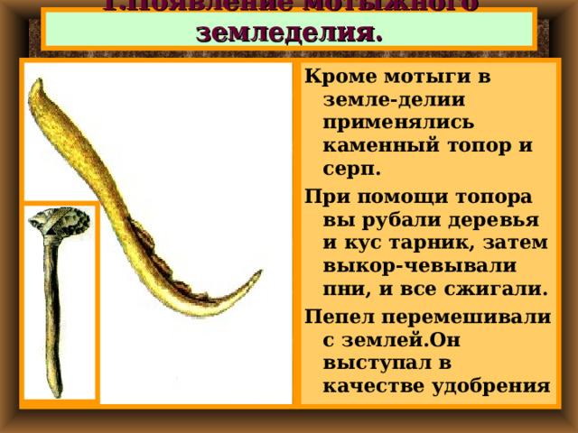1.Появление мотыжного земледелия. Кроме мотыги в земле-делии применялись каменный топор и серп. При помощи топора вы рубали деревья и кус тарник, затем выкор-чевывали пни, и все сжигали. Пепел перемешивали с землей.Он выступал в качестве удобрения 