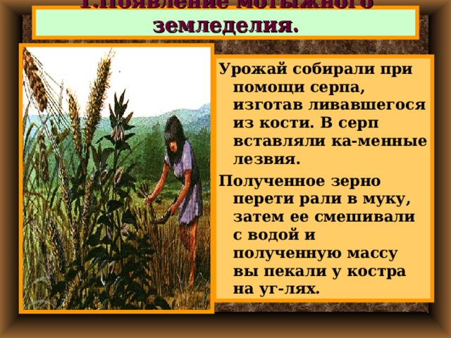 1.Появление мотыжного земледелия. Урожай собирали при помощи серпа, изготав ливавшегося из кости. В серп вставляли ка-менные лезвия. Полученное зерно перети рали в муку, затем ее смешивали с водой и полученную массу вы пекали у костра на уг-лях. 