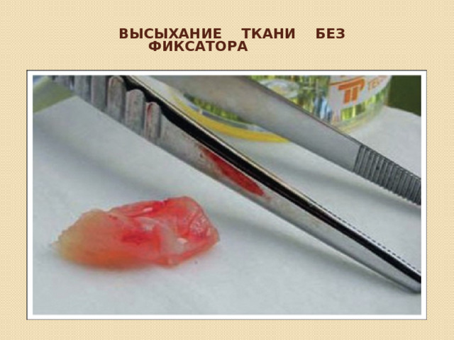  Высыхание ткани без фиксатора   