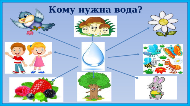 Кому нужна вода? 