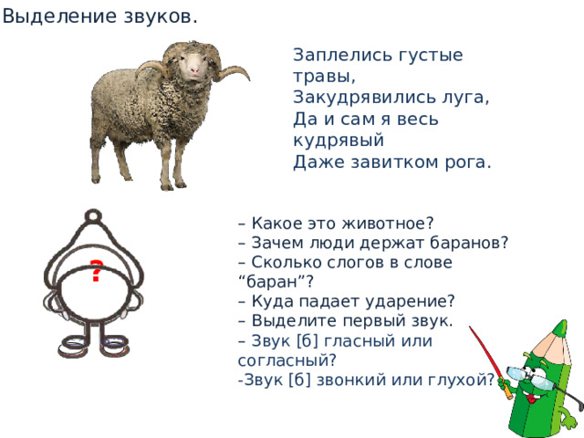 Выделение звуков. Заплелись густые травы,  Закудрявились луга,  Да и сам я весь кудрявый  Даже завитком рога.  – Какое это животное? – Зачем люди держат баранов? – Сколько слогов в слове “баран”? – Куда падает ударение? – Выделите первый звук. – Звук [б] гласный или согласный? -Звук [б] звонкий или глухой? ? 