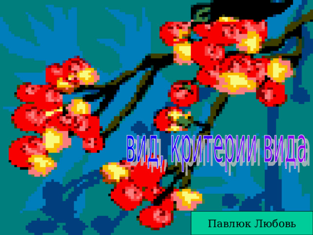 Павлюк Любовь 