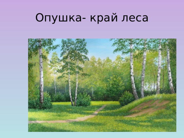 Опушка- край леса 