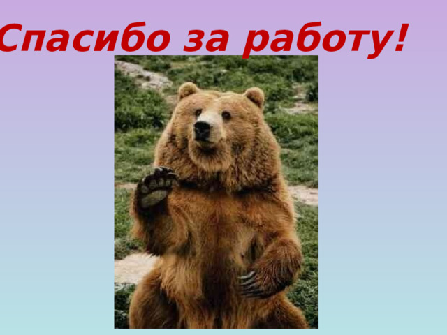 Спасибо за работу!  