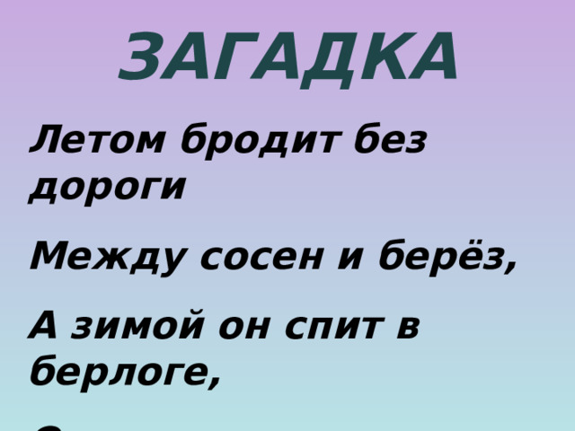 ЗАГАДКА Летом бродит без дороги Между сосен и берёз, А зимой он спит в берлоге, От мороза прячет нос.  