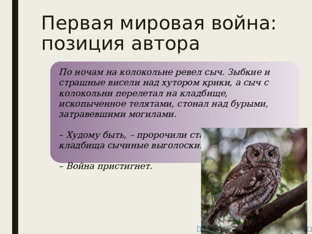 Первая мировая война: позиция автора По ночам на колокольне ревел сыч. Зыбкие и страшные висели над хутором крики, а сыч с колокольни перелетал на кладбище, ископыченное телятами, стонал над бурыми, затравевшими могилами.  – Худому быть, – пророчили старики, заслышав с кладбища сычиные выголоски.  – Война пристигнет. 