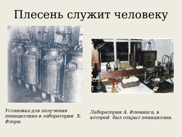 Плесень служит человеку Установка для получения пенициллина в лаборатории Х. Флори.  Лаборатория А. Флеминга, в которой был открыт пенициллин. 