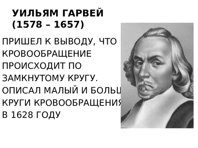УИЛЬЯМ ГАРВЕЙ  (1578 – 1657) ПРИШЕЛ К ВЫВОДУ, ЧТО КРОВООБРАЩЕНИЕ ПРОИСХОДИТ ПО ЗАМКНУТОМУ КРУГУ. ОПИСАЛ МАЛЫЙ И БОЛЬШОЙ КРУГИ КРОВООБРАЩЕНИЯ В 1628 ГОДУ 