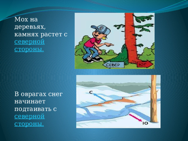 Мох на деревьях, камнях растет с северной стороны. В оврагах снег начинает подтаивать с северной стороны. 