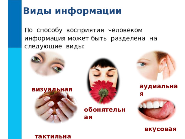 Виды информации По способу восприятия человеком информация может быть разделена на следующие виды:  визуальная  аудиальная  обонятельная  тактильная  вкусовая 