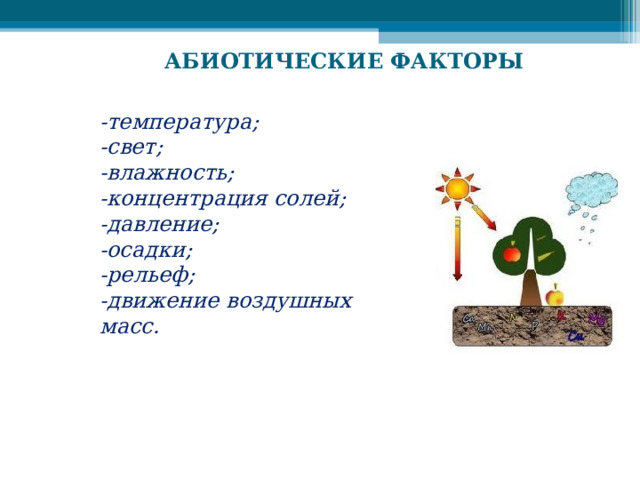 АБИОТИЧЕСКИЕ ФАКТОРЫ -температура;  -свет; -влажность; -концентрация солей; -давление; -осадки; -рельеф; -движение воздушных масс.   