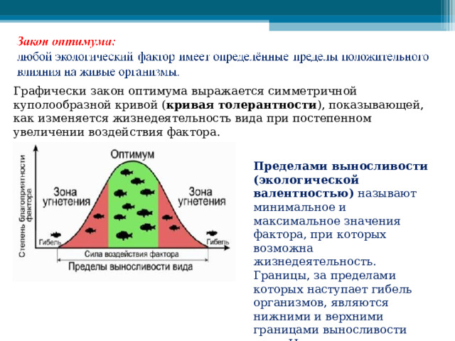 Графически закон оптимума выражается симметричной куполообразной кривой ( кривая толерантности ), показывающей, как изменяется жизнедеятельность вида при постепенном увеличении воздействия фактора.    Пределами выносливости (экологической валентностью)  называют минимальное и максимальное значения фактора, при которых возможна жизнедеятельность. Границы, за пределами которых наступает гибель организмов, являются нижними и верхними границами выносливости вида. Их называют  критическими точками . 