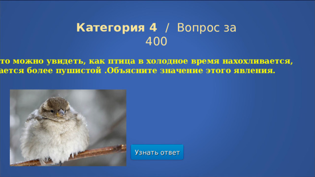 Категория 4  /  Вопрос за 400 Часто можно увидеть, как птица в холодное время нахохливается, делается более пушистой .Объясните значение этого явления. Узнать ответ  