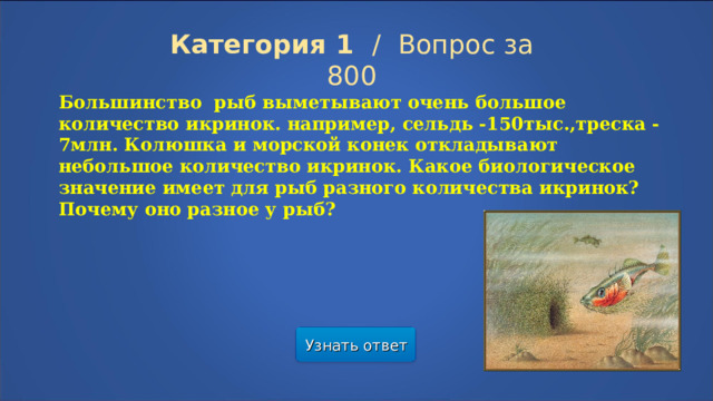 Категория 1  /  Вопрос за 800 Большинство рыб выметывают очень большое количество икринок. например, сельдь -150тыс.,треска -7млн. Колюшка и морской конек откладывают небольшое количество икринок. Какое биологическое значение имеет для рыб разного количества икринок? Почему оно разное у рыб? Узнать ответ  