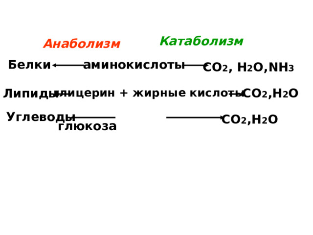 Катаболизм Анаболизм Белки аминокислоты СО 2 , Н 2 О, NH 3 глицерин + жирные кислоты  Липиды СО 2 ,Н 2 О   глюкоза Углеводы СО 2 ,Н 2 О 