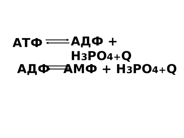 АДФ + Н 3 РО 4+ Q АТФ АМФ + Н 3 РО 4 + Q АДФ 