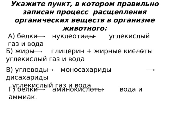 Укажите пункт, в котором правильно записан процесс расщепления органических веществ в организме животного:  А)  белки нуклеотиды углекислый газ и вода Б)  жиры глицерин + жирные кислоты углекислый газ и вода В)  углеводы моносахариды дисахариды  углекислый газ и вода Г)  белки аминокислоты вода и аммиак. 