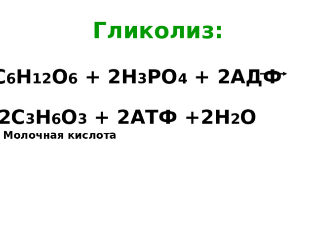 Гликолиз: С 6 Н 12 О 6 + 2Н 3 РО 4 + 2АДФ 2С 3 Н 6 О 3 + 2АТФ +2Н 2 О Молочная кислота 