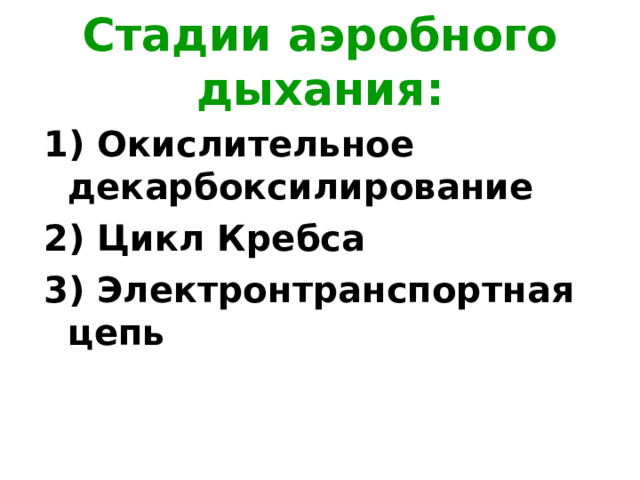 Стадии аэробного дыхания: 1) Окислительное декарбоксилирование 2) Цикл Кребса 3) Электронтранспортная цепь 