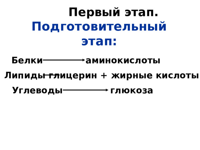  Первый этап. Подготовительный этап: Белки аминокислоты Липиды глицерин +  жирные кислоты Углеводы глюкоза 