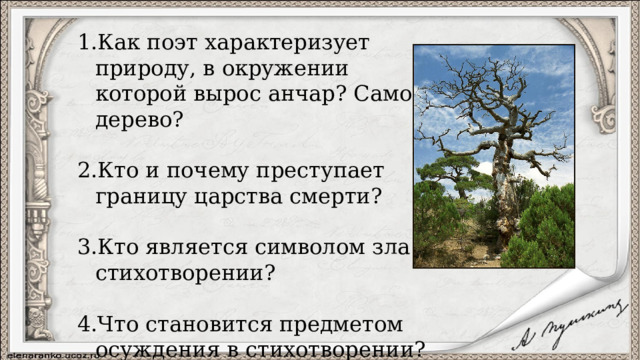 Как поэт характеризует природу, в окружении которой вырос анчар? Само дерево? Кто и почему преступает границу царства смерти? Кто является символом зла в стихотворении? Что становится предметом осуждения в стихотворении? 