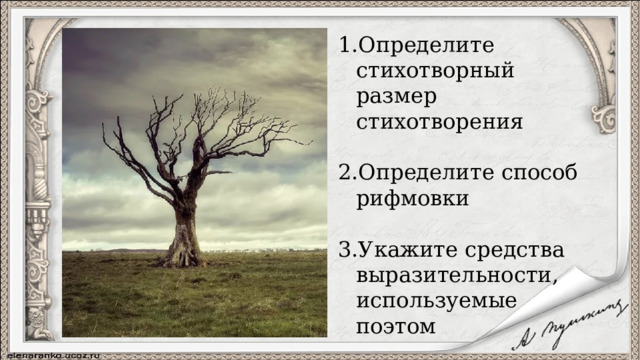 Определите стихотворный размер стихотворения Определите способ рифмовки Укажите средства выразительности, используемые поэтом 