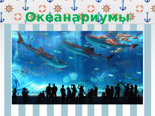 Океанариумы 