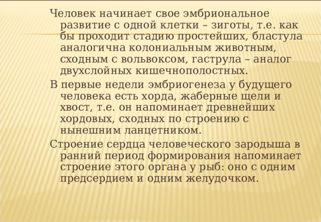 Человек начинает свое эмбриональное развитие с одной клетки – зиготы, т.е. как бы проходит стадию простейших, бластула аналогична колониальным животным, сходным с вольвоксом, гаструла – аналог двухслойных кишечнополостных. В первые недели эмбриогенеза у будущего человека есть хорда, жаберные щели и хвост, т.е. он напоминает древнейших хордовых, сходных по строению с нынешним ланцетником. Строение сердца человеческого зародыша в ранний период формирования напоминает строение этого органа у рыб: оно с одним предсердием и одним желудочком. 