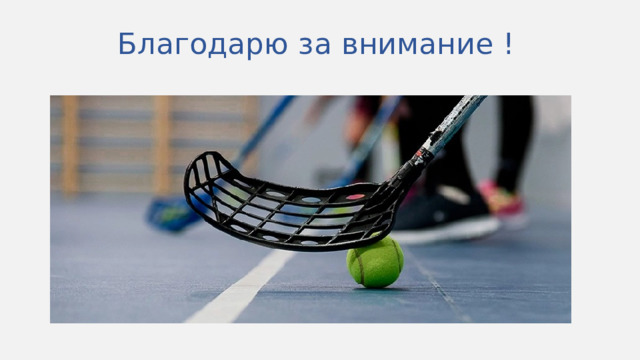 Благодарю за внимание ! 