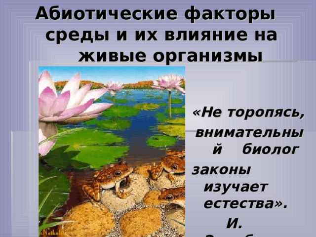 Абиотические факторы  среды и их влияние на  живые организмы «Не торопясь, внимательный биолог законы изучает естества».  И. Эренбург 